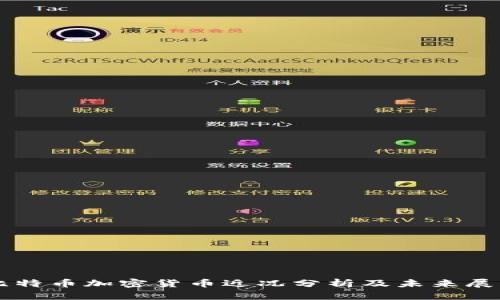 比特币加密货币近况分析及未来展望