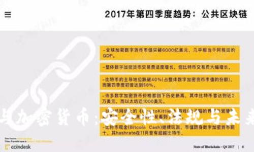 中国护照与加密货币：安全性、法规与未来趋势探讨