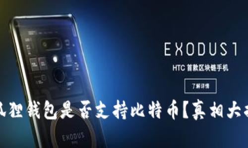 小狐狸钱包是否支持比特币？真相大揭秘