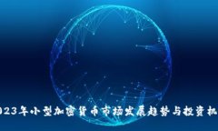 2023年小型加密货币市场发