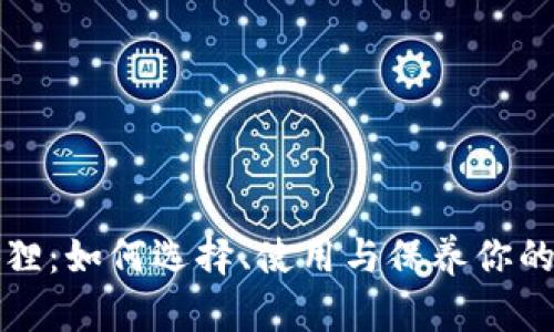 揭秘钱包小狐狸：如何选择、使用与保养你的数字资产钱包