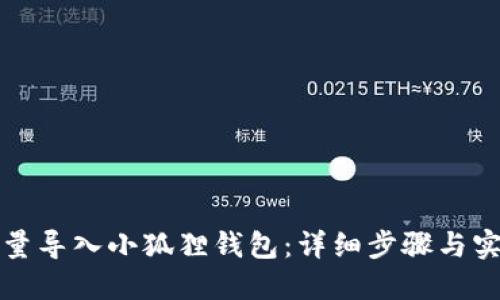 如何批量导入小狐狸钱包：详细步骤与实用技巧