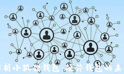 
全面解析小狐狸钱包：硬件钱包的未来趋势