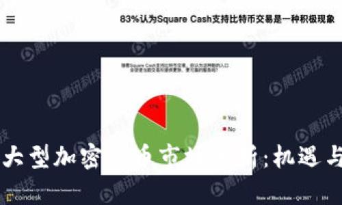 巴西大型加密货币市场分析：机遇与挑战